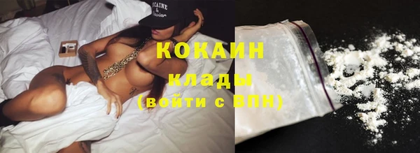 стаф Белокуриха