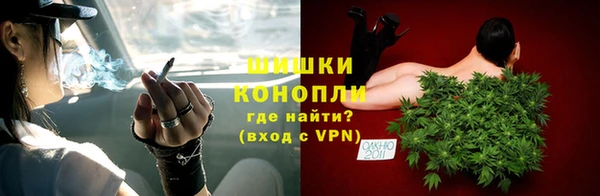 стаф Белокуриха