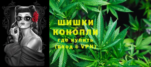 стаф Белокуриха