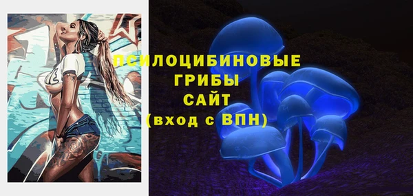 стаф Белокуриха