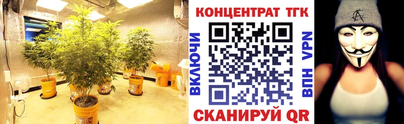 Купить закладки  Энгельс  ТГК гашишное масло 