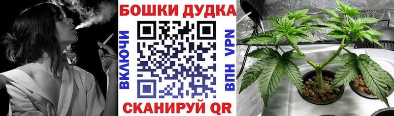 Купить  Энгельс  Бошки марихуана тримм 